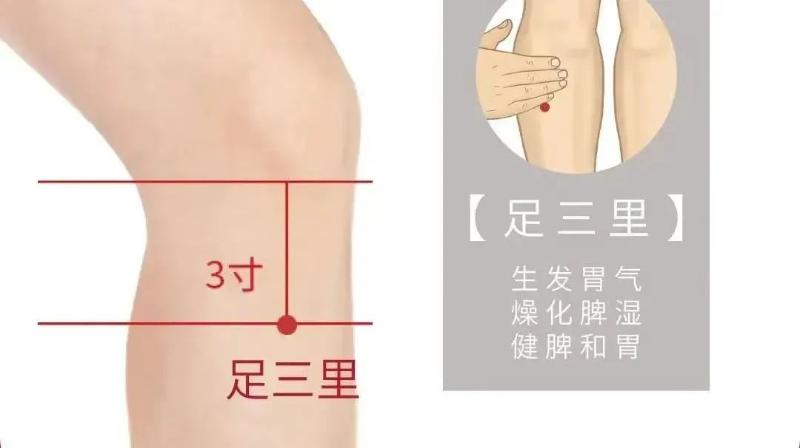 微信圖片_2025-08-15_100118_238.jpg